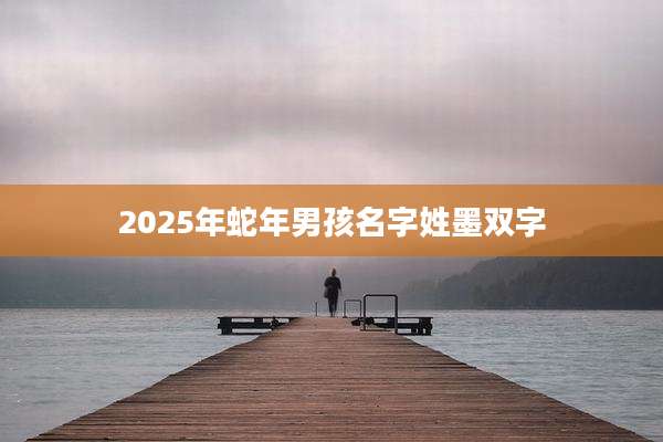 2025年蛇年男孩名字姓墨双字