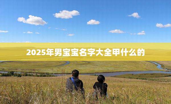 2025年男宝宝名字大全甲什么的