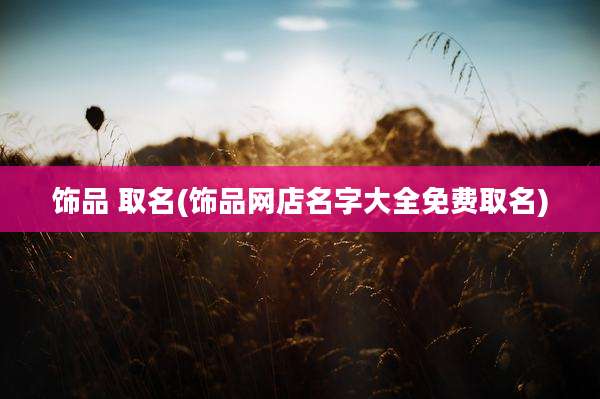 饰品 取名(饰品网店名字大全免费取名)