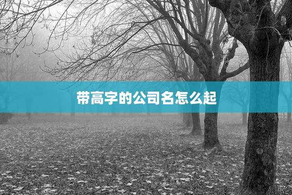 带高字的公司名怎么起