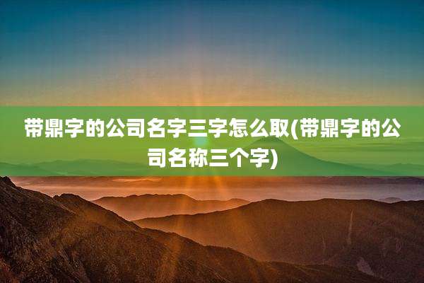 带鼎字的公司名字三字怎么取(带鼎字的公司名称三个字)