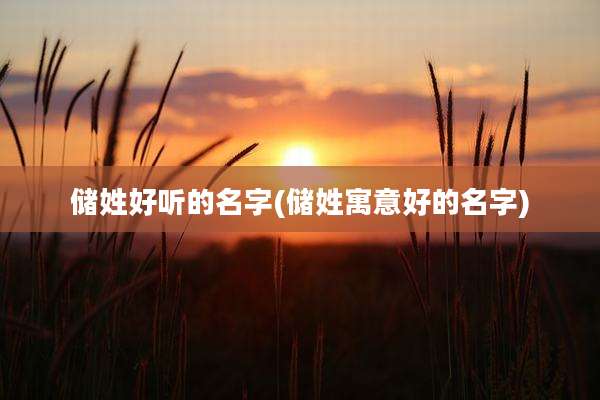 储姓好听的名字(储姓寓意好的名字)