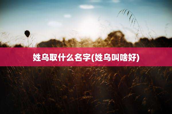 姓乌取什么名字(姓乌叫啥好)