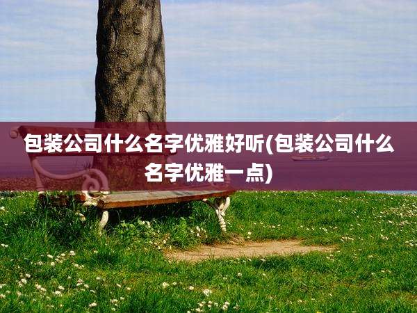 包装公司什么名字优雅好听(包装公司什么名字优雅一点)