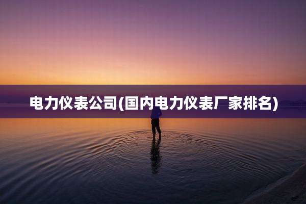 电力仪表公司(国内电力仪表厂家排名)