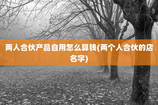 两人合伙产品自用怎么算钱(两个人合伙的店名字)