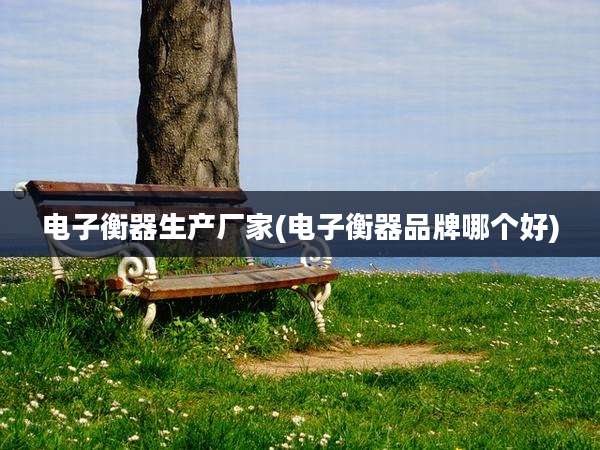 电子衡器生产厂家(电子衡器品牌哪个好)