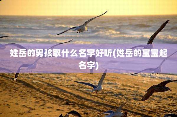 姓岳的男孩取什么名字好听(姓岳的宝宝起名字)