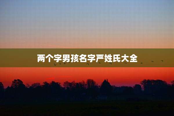 两个字男孩名字严姓氏大全