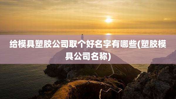 给模具塑胶公司取个好名字有哪些(塑胶模具公司名称)