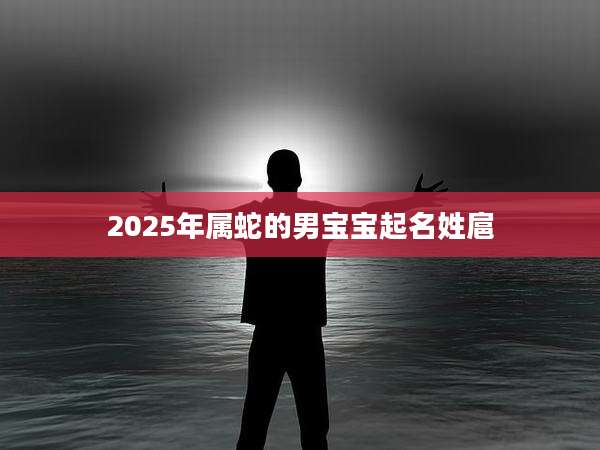 2025年属蛇的男宝宝起名姓扈