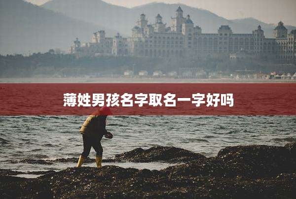 薄姓男孩名字取名一字好吗