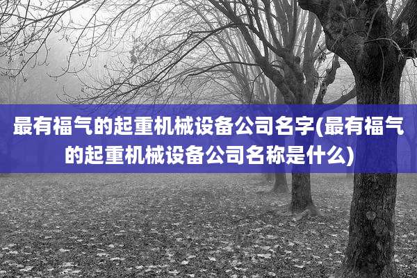 最有福气的起重机械设备公司名字(最有福气的起重机械设备公司名称是什么)