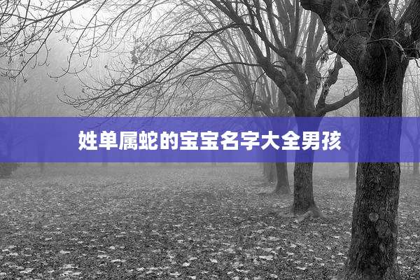 姓单属蛇的宝宝名字大全男孩