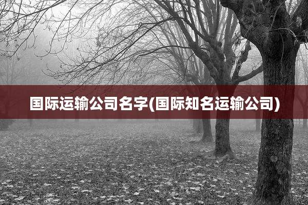 国际运输公司名字(国际知名运输公司)