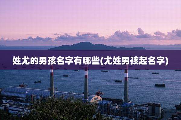 姓尤的男孩名字有哪些(尤姓男孩起名字)
