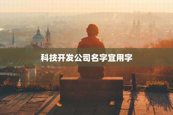 科技开发公司名字宜用字