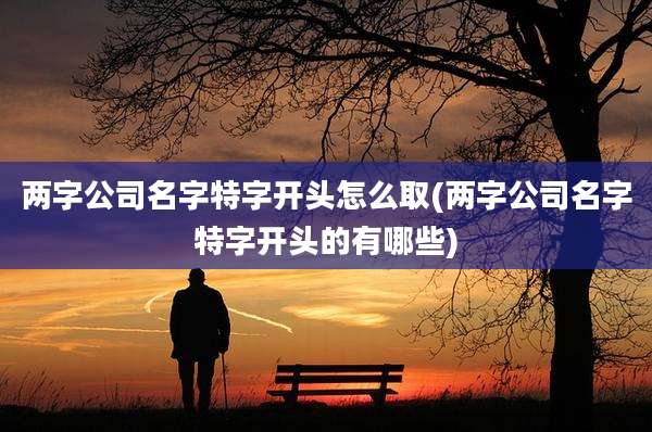 两字公司名字特字开头怎么取(两字公司名字特字开头的有哪些)