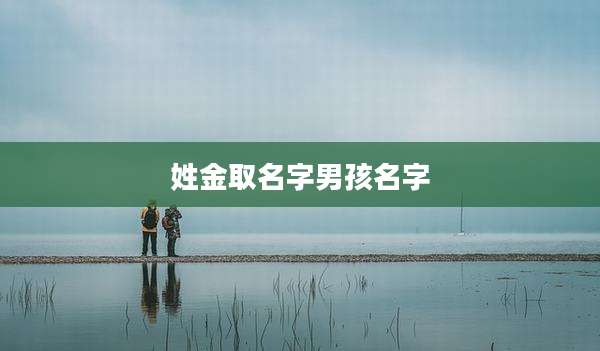 姓金取名字男孩名字