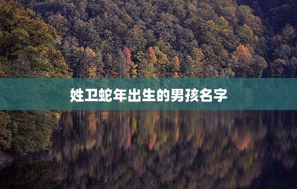 姓卫蛇年出生的男孩名字