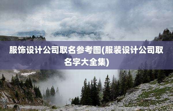 服饰设计公司取名参考图(服装设计公司取名字大全集)