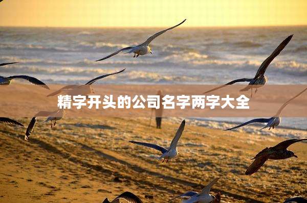 精字开头的公司名字两字大全