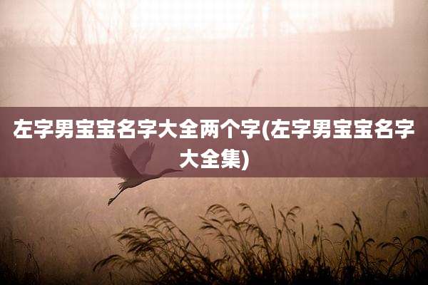 左字男宝宝名字大全两个字(左字男宝宝名字大全集)
