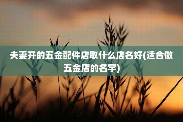 夫妻开的五金配件店取什么店名好(适合做五金店的名字)