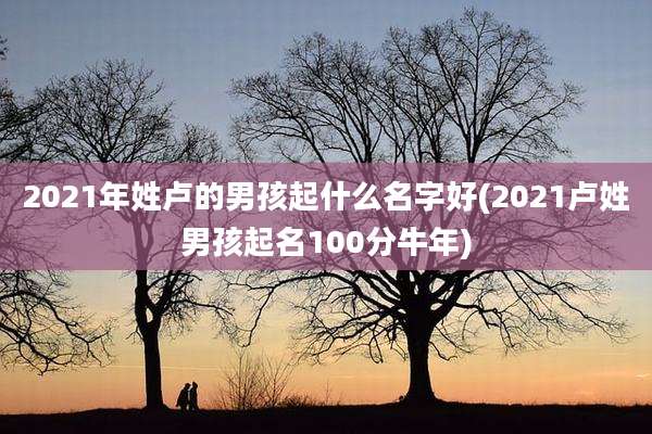 2021年姓卢的男孩起什么名字好(2021卢姓男孩起名100分牛年)