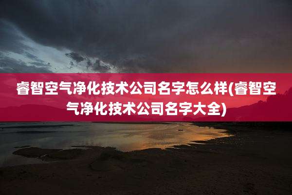 睿智空气净化技术公司名字怎么样(睿智空气净化技术公司名字大全)