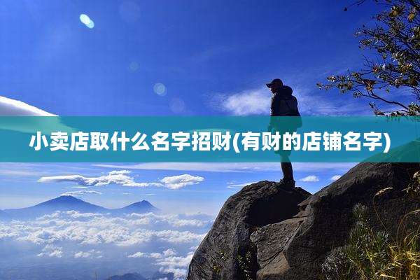 小卖店取什么名字招财(有财的店铺名字)