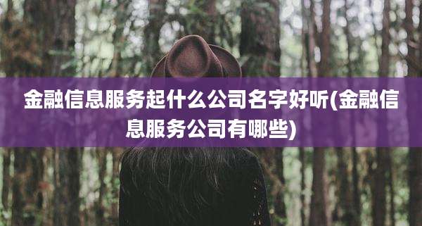 金融信息服务起什么公司名字好听(金融信息服务公司有哪些)