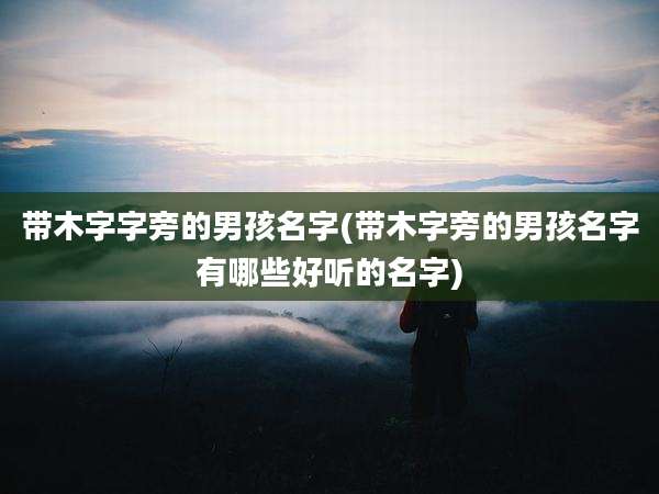 带木字字旁的男孩名字(带木字旁的男孩名字有哪些好听的名字)