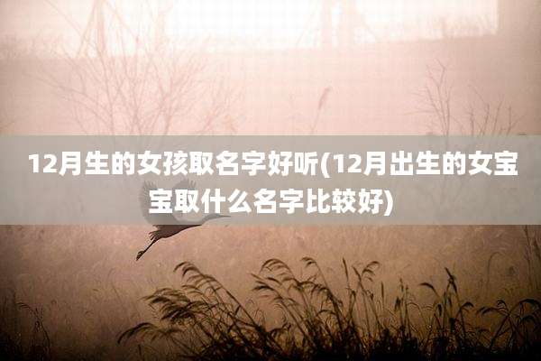 12月生的女孩取名字好听(12月出生的女宝宝取什么名字比较好)
