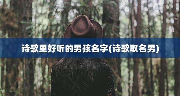 诗歌里好听的男孩名字(诗歌取名男)