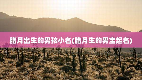 腊月出生的男孩小名(腊月生的男宝起名)