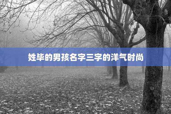 姓毕的男孩名字三字的洋气时尚