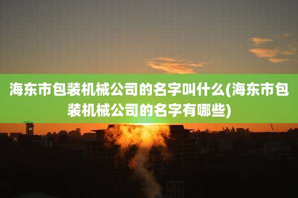 海东市包装机械公司的名字叫什么(海东市包装机械公司的名字有哪些)