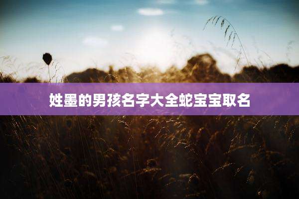 姓墨的男孩名字大全蛇宝宝取名