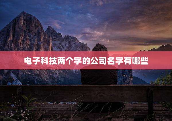 电子科技两个字的公司名字有哪些