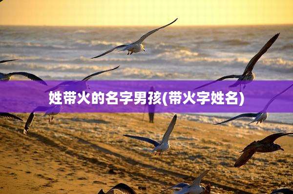 姓带火的名字男孩(带火字姓名)
