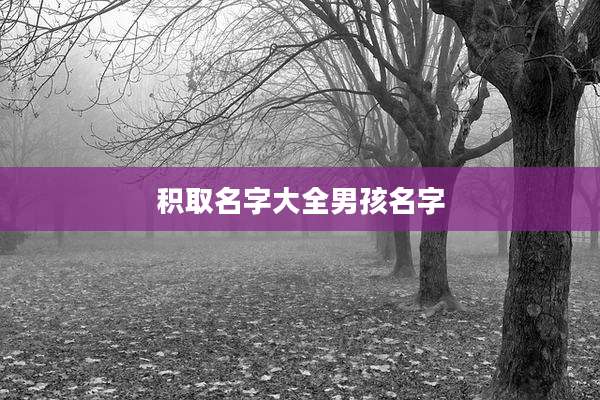 积取名字大全男孩名字