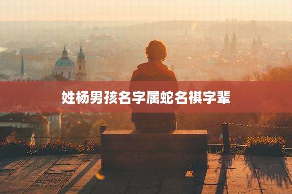 姓杨男孩名字属蛇名祺字辈