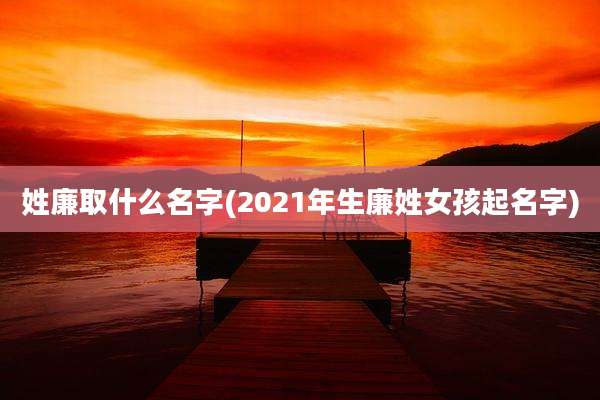 姓廉取什么名字(2021年生廉姓女孩起名字)