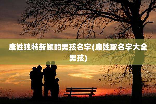 康姓独特新颖的男孩名字(康姓取名字大全男孩)