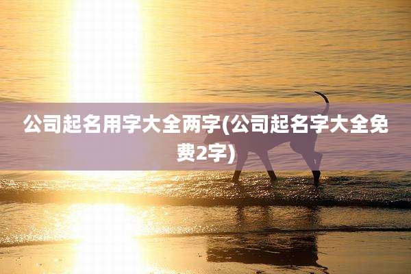 公司起名用字大全两字(公司起名字大全免费2字)