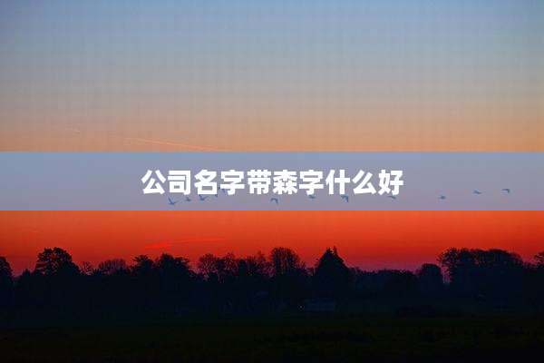 公司名字带森字什么好