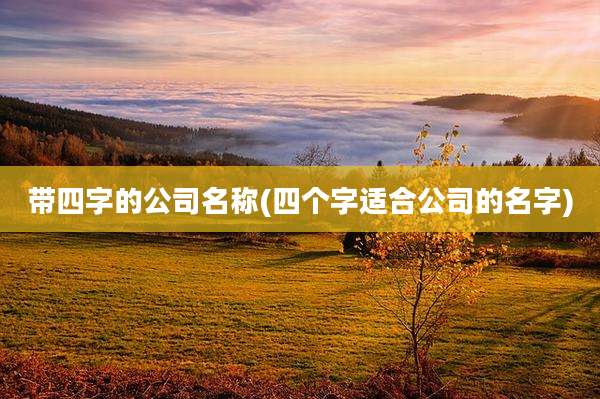 带四字的公司名称(四个字适合公司的名字)