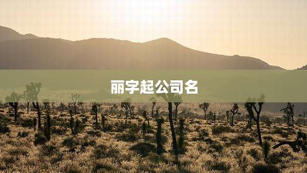 丽字起公司名