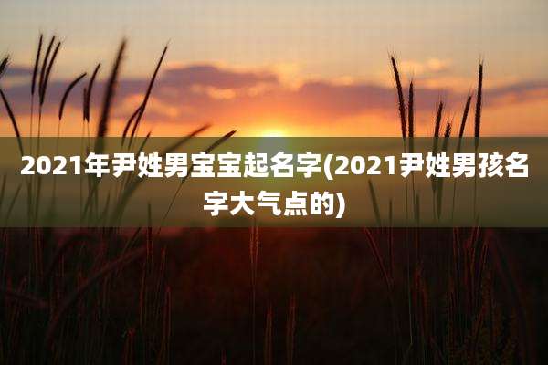 2021年尹姓男宝宝起名字(2021尹姓男孩名字大气点的)